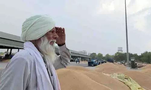 बदलते मौसम के बीच गेहूं उठान धीमा होने से Muktsar के किसान चिंतित