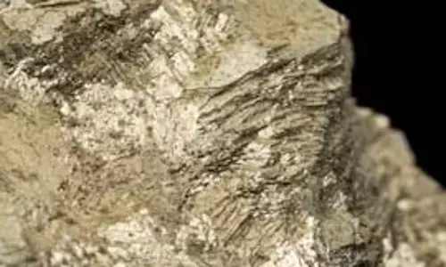 MP Materials ने चीन को rare earth धातुओं की आपूर्ति बंद की