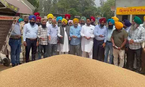 Amritsar: आसमान में बादल छाए रहने से किसान चिंतित