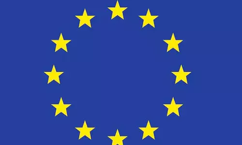 EU पर पर्यावरण कानूनों में ढील देने का आरोप, आठ संगठनों ने की शिकायत EU पर पर्यावरण कानूनों में ढील देने का आरोप, आठ संगठनों ने की शिकायत