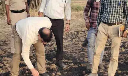Datia: दो ग्रामों में हुई आगजनी, फसलों को नुकसान, दुखद घटना