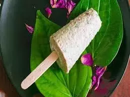 Special, Paan Kulfi : गर्मियों में बनाएं टेस्टी पान कुल्फी Special, Paan Kulfi : गर्मियों में बनाएं टेस्टी पान कुल्फी