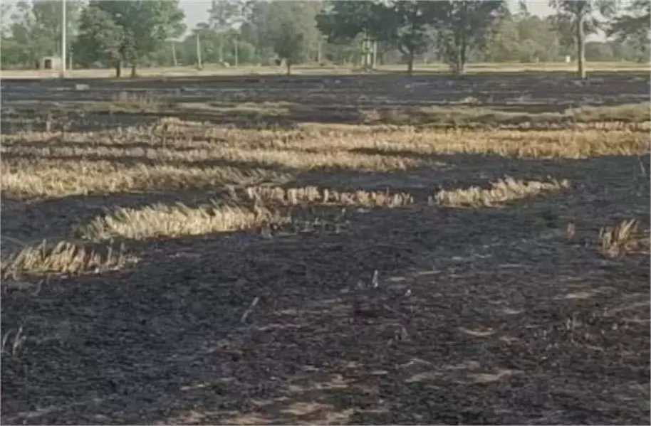 Haryana: खेतों में लगी भीषण आग, 35 एकड़ फसल राख Haryana: खेतों में लगी भीषण आग, 35 एकड़ फसल राख