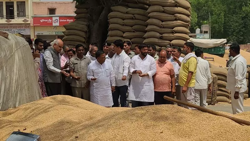 Haryana : हैफेड कर्मचारी निलंबित, दूसरे का तबादला Haryana : हैफेड कर्मचारी निलंबित, दूसरे का तबादला