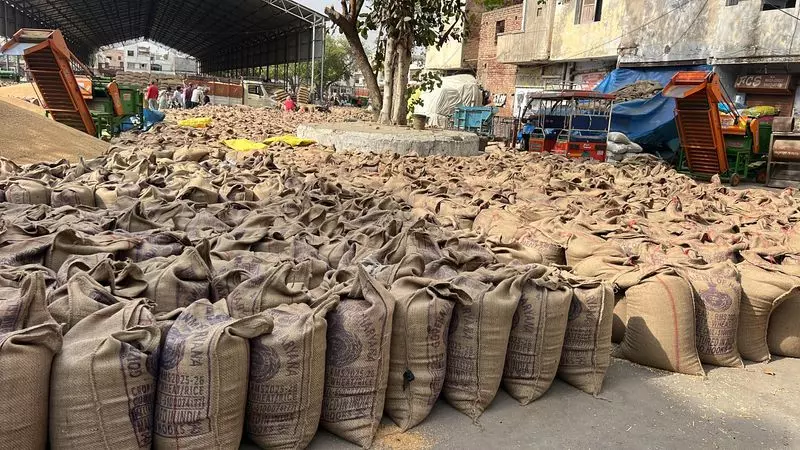 Haryana : सिरसा की मंडियों में गेहूं उठान में देरी से किसान परेशान Haryana : सिरसा की मंडियों में गेहूं उठान में देरी से किसान परेशान