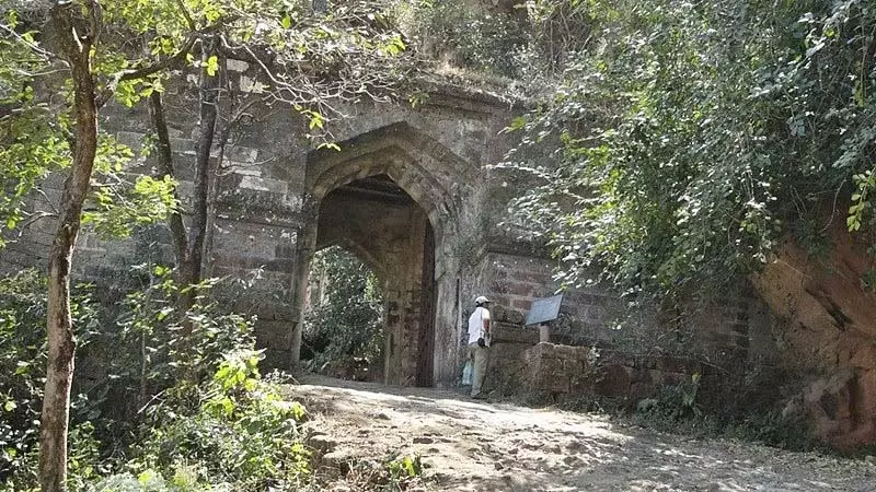 मानसिक रूप से अस्थिर व्यक्ति लापता; पुलिस और वन अधिकारी जंगल में तलाश कर रहे मानसिक रूप से अस्थिर व्यक्ति लापता; पुलिस और वन अधिकारी जंगल में तलाश कर रहे