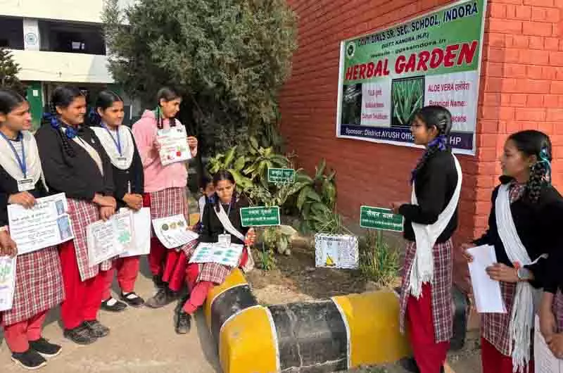 Garden से ग्लोब तक इंदौर के छात्रों को हर्बल वेलनेस प्रोजेक्ट के लिए अंतरराष्ट्रीय पुरस्कार मिला Garden से ग्लोब तक इंदौर के छात्रों को हर्बल वेलनेस प्रोजेक्ट के लिए अंतरराष्ट्रीय पुरस्कार मिला