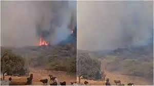 Udaipur की सज्जनगढ़ पहाड़ियों में दोबारा आग, जैविक उद्यान की ओर बढ़ी लपटें Udaipur की सज्जनगढ़ पहाड़ियों में दोबारा आग, जैविक उद्यान की ओर बढ़ी लपटें