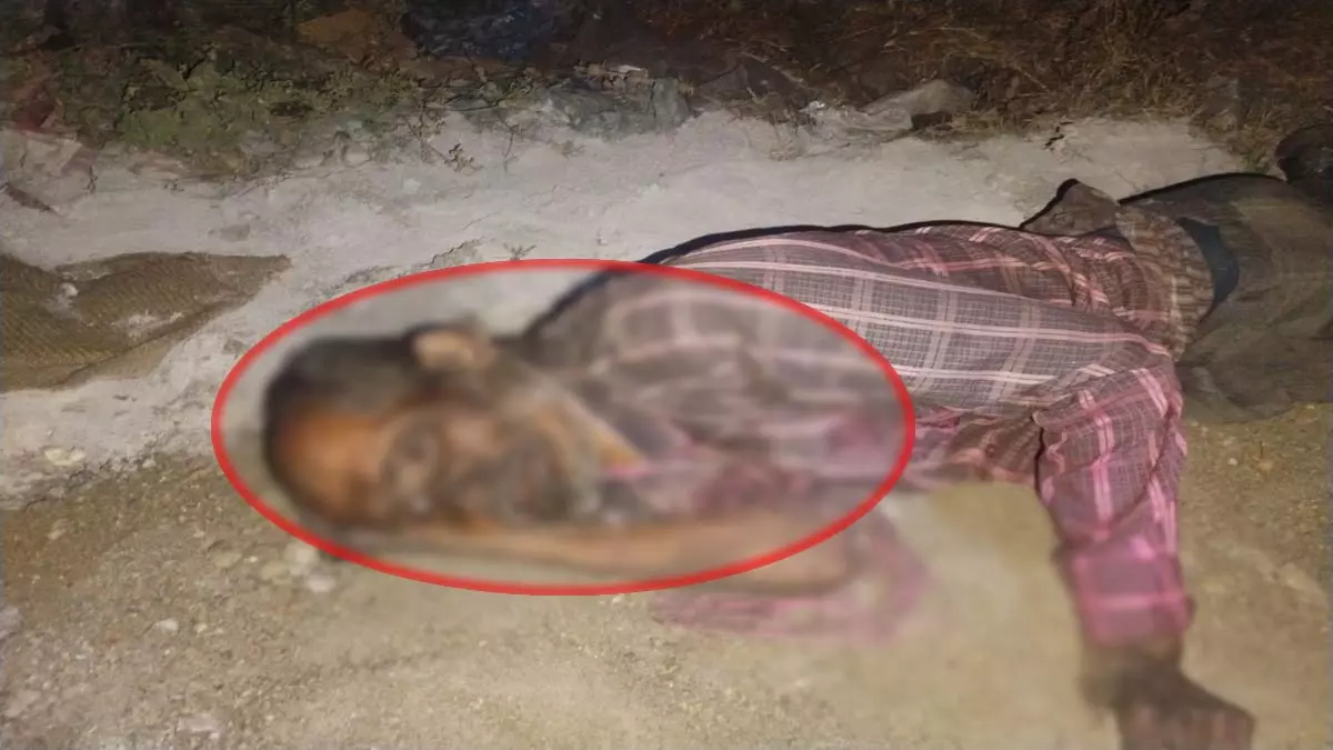 हीरा ग्रुप फैक्ट्री की बाउंड्री के पीछे मिली मजदूर की लाश, फैली सनसनी हीरा ग्रुप फैक्ट्री की बाउंड्री के पीछे मिली मजदूर की लाश, फैली सनसनी