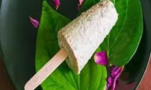 Special, Paan Kulfi : गर्मियों में बनाएं टेस्टी पान कुल्फी