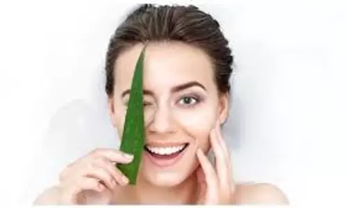 Skin Care Tips: गर्मियों में चाहिए ग्लोइंग स्किन तो आजमाएं आम के पत्तों का ये खास उपाय