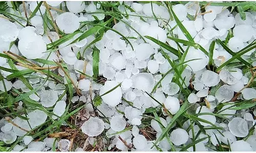 Kupwara में ओलावृष्टि से किसानों की फसलें तबाह