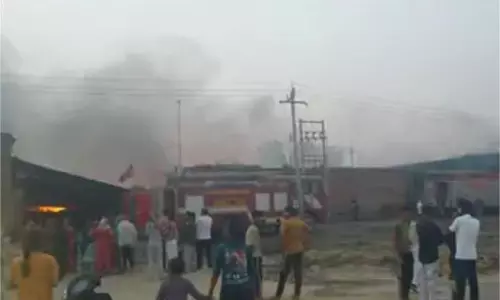 Haryana: फैक्ट्री में लगी भीषण आग,  जिंदा जला युवक