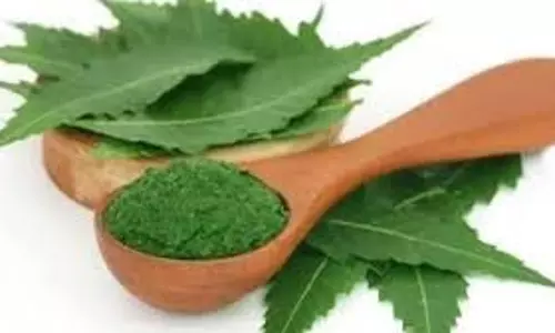 Health: यूरिक एसिड को कंट्रोल करना है तो नीम के पत्तों का ऐसे करें इस्तेमाल