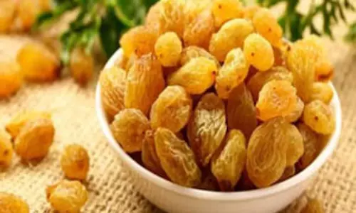 किशमिश का छोटा दाना, सेहत के लिए बड़ा खजाना