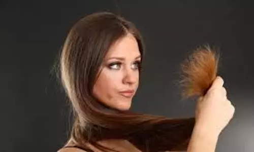 Hair Care Tips: बालों की लंबाई में बाधा बन रहे हैं दोमुंहे बाल, इन टिप्स से पाएं छुटकारा