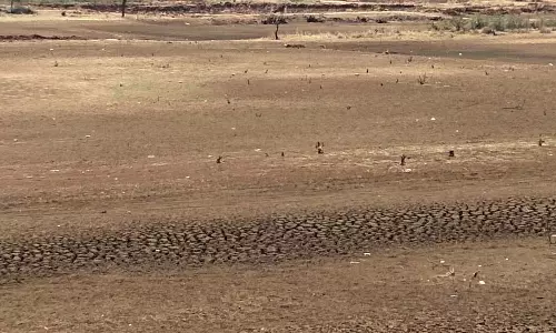 Karnataka : सूख चुकी झील, लोग और पशु पानी और चारे को लेकर चिंतित