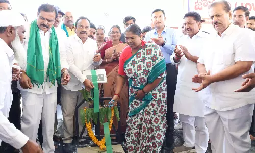 Telangana: सीथक्का ने ज्वार क्रय केंद्र खोला Telangana: सीथक्का ने ज्वार क्रय केंद्र खोला