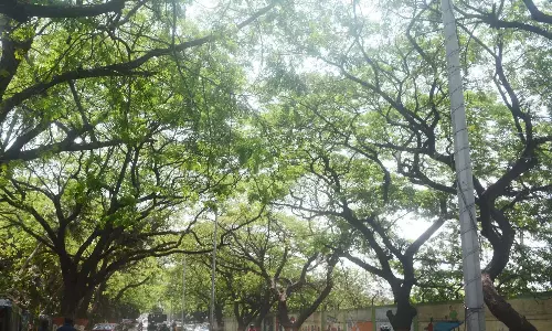Telangana में गर्मी और तूफ़ान का कहर जारी, मौसम अप्रत्याशित हो गया