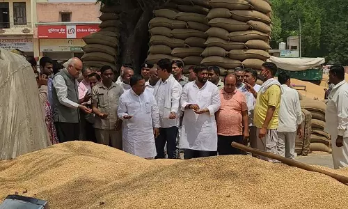 Haryana : हैफेड कर्मचारी निलंबित, दूसरे का तबादला Haryana : हैफेड कर्मचारी निलंबित, दूसरे का तबादला