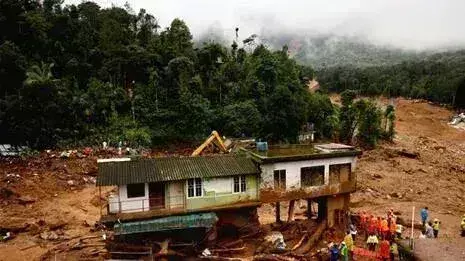 Wayanad rehabilitation: एल्स्टन एस्टेट ने सुप्रीम कोर्ट का दरवाजा खटखटाया Wayanad rehabilitation: एल्स्टन एस्टेट ने सुप्रीम कोर्ट का दरवाजा खटखटाया