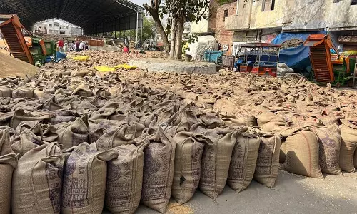 Haryana : सिरसा की मंडियों में गेहूं उठान में देरी से किसान परेशान Haryana : सिरसा की मंडियों में गेहूं उठान में देरी से किसान परेशान