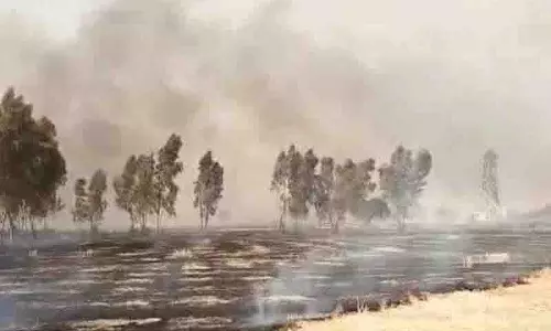 Punjab: गेहूं की फसल जलकर राख, बिजली लाइन में स्पार्किंग को कारण माना जा रहा Punjab: गेहूं की फसल जलकर राख, बिजली लाइन में स्पार्किंग को कारण माना जा रहा