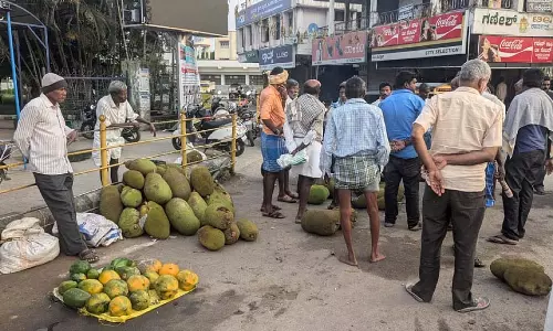 Karnataka: होलेनरसीपुर से स्वादिष्ट कटहल