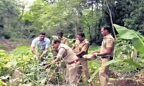 Kochi: केरल के पुलिसकर्मी ने पुलिस स्टेशन में उगाई जैविक सब्जियाँ Kochi: केरल के पुलिसकर्मी ने पुलिस स्टेशन में उगाई जैविक सब्जियाँ