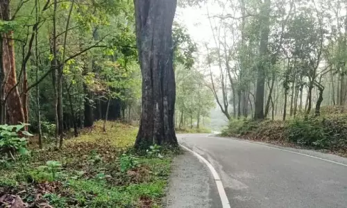 Kerala ; वन विभाग ने पेड़ों को काटने के लिए कोई कार्रवाई नहीं की