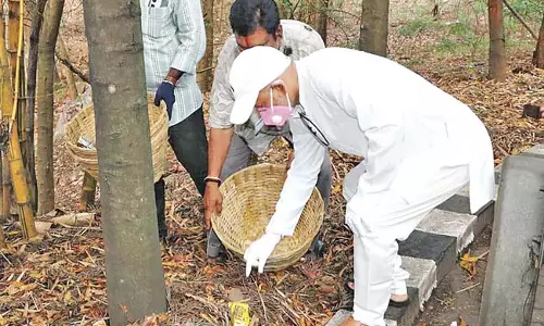 तिरुमाला में यात्रा करने वाले वाहनों से सड़कों पर कचरा नहीं फेंकने की अपील की : Venkaiah Chowdhary