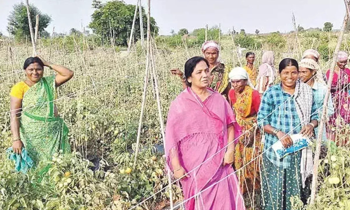 Andhra: विधायक ने खेत मजदूरों के साथ बिताया समय Andhra: विधायक ने खेत मजदूरों के साथ बिताया समय