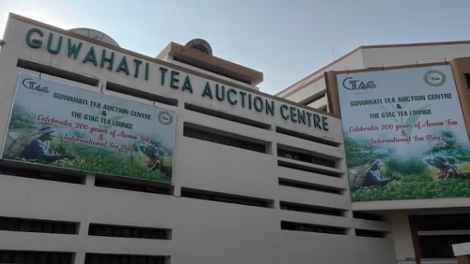 Guwahati चाय नीलामी केंद्र ने रिकॉर्ड बिक्री की, वित्त वर्ष 2025 में कारोबार 3,850 करोड़ रुपये के पार