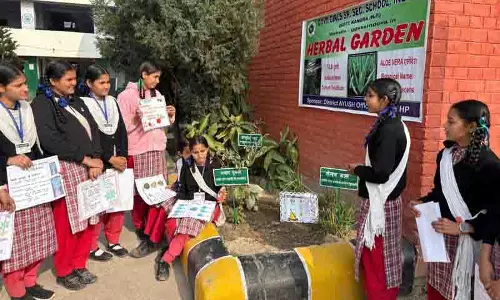 Garden से ग्लोब तक इंदौर के छात्रों को हर्बल वेलनेस प्रोजेक्ट के लिए अंतरराष्ट्रीय पुरस्कार मिला