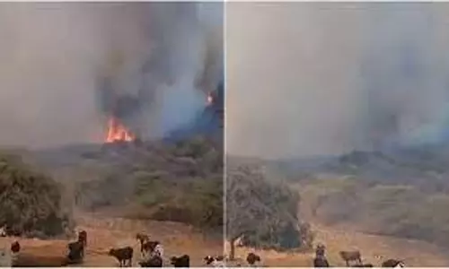 Udaipur की सज्जनगढ़ पहाड़ियों में दोबारा आग, जैविक उद्यान की ओर बढ़ी लपटें