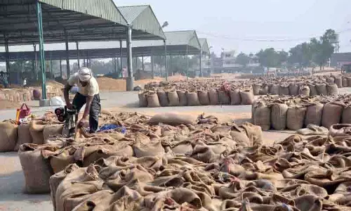 Amritsar: गेहूं को बारिश से बचाने के लिए कमर कसी, तिरपाल की व्यवस्था की Amritsar: गेहूं को बारिश से बचाने के लिए कमर कसी, तिरपाल की व्यवस्था की