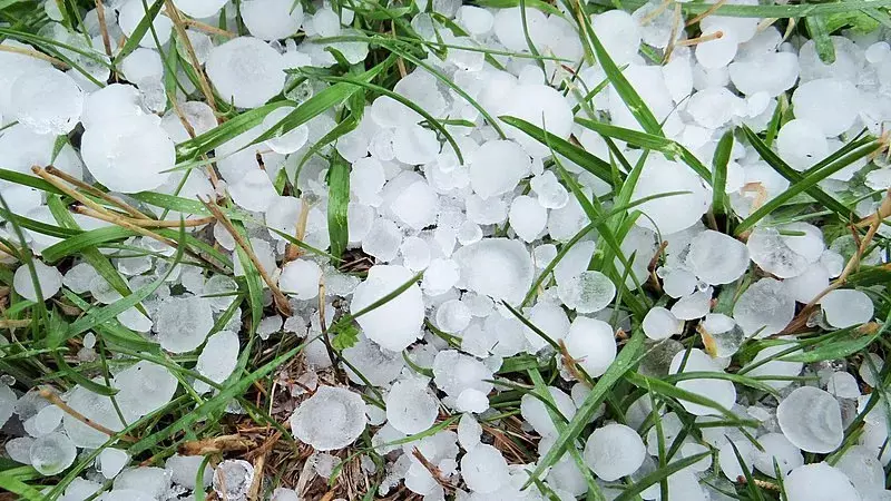 किसानों ने शोपियां में ओलावृष्टि से हुए व्यापक नुकसान का आकलन किया किसानों ने शोपियां में ओलावृष्टि से हुए व्यापक नुकसान का आकलन किया
