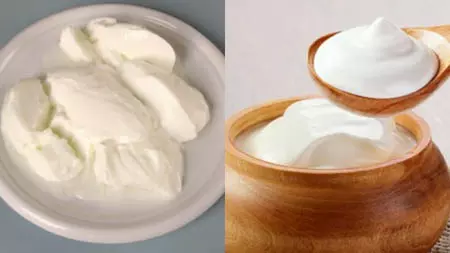 स्वास्थ्य के लिए वरदान है विटामिन से भरपूर ‘दही’, खूबसूरती का भी छिपा है राज स्वास्थ्य के लिए वरदान है विटामिन से भरपूर ‘दही’, खूबसूरती का भी छिपा है राज
