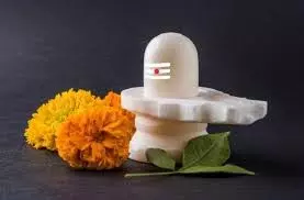 Shiva Puja: शिवलिंग पर भूलकर भी न चढ़ाएं ये 6 चीजें, वरना भोलेनाथ हो जाएंगे नाखुश Shiva Puja: शिवलिंग पर भूलकर भी न चढ़ाएं ये 6 चीजें, वरना भोलेनाथ हो जाएंगे नाखुश