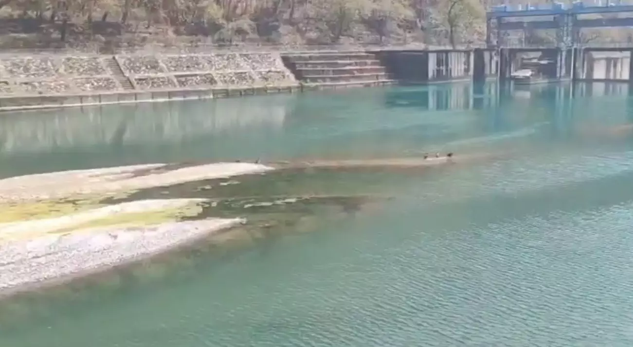 Haldwani: गौला नदी सूखने की कगार पर, शहर में पानी को लेकर हाहाकार Haldwani: गौला नदी सूखने की कगार पर, शहर में पानी को लेकर हाहाकार