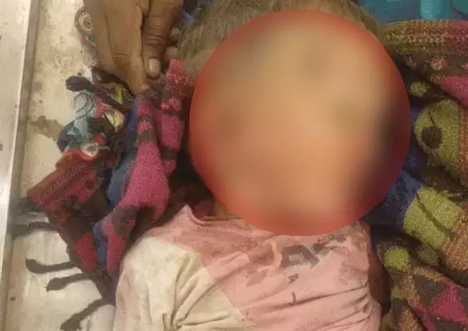 BREAKING: शादी समारोह में हादसा, महिला और दोहिते की मौत BREAKING: शादी समारोह में हादसा, महिला और दोहिते की मौत