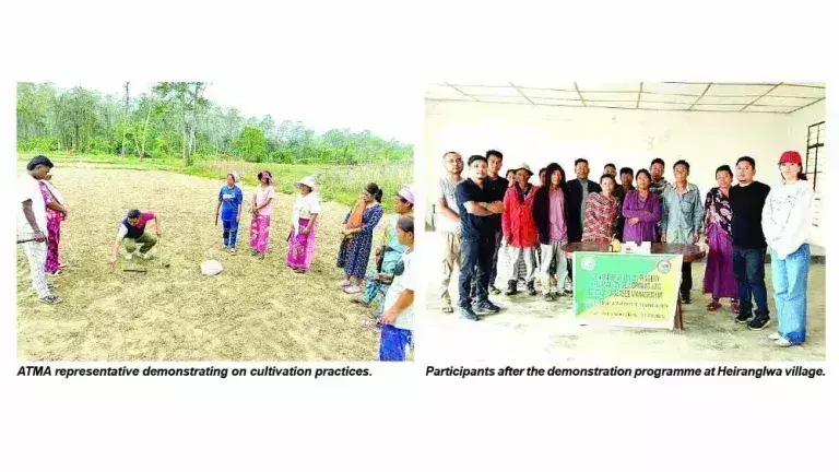ATMA कुहुबोटो, टेनिंग ब्लॉकों में प्रदर्शन और क्षमता निर्माण का आयोजन ATMA कुहुबोटो, टेनिंग ब्लॉकों में प्रदर्शन और क्षमता निर्माण का आयोजन