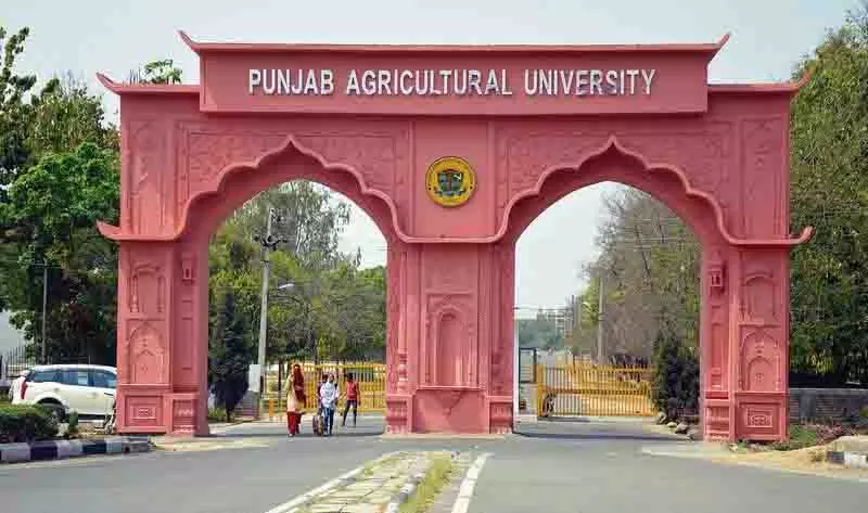 विज्ञान महोत्सव में चमके PAU के छात्र विज्ञान महोत्सव में चमके PAU के छात्र