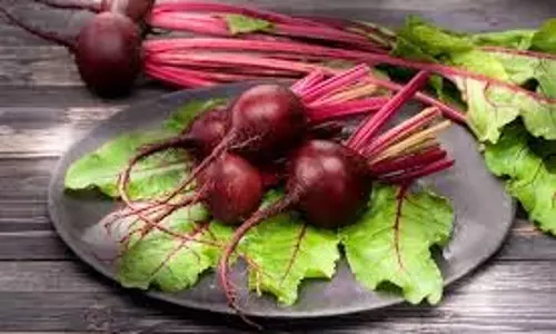 Beetroot Benefits: जानिए  चुकंदर के  सेवन के  बड़े  फायदे