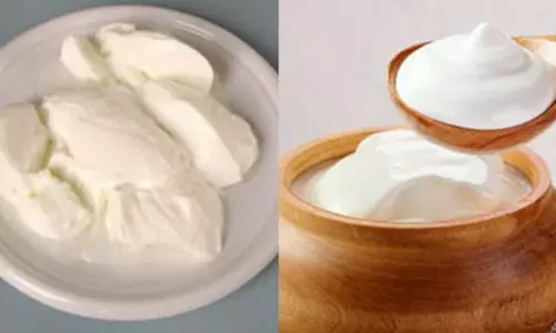 स्वास्थ्य के लिए वरदान है विटामिन से भरपूर ‘दही’, खूबसूरती का भी छिपा है राज