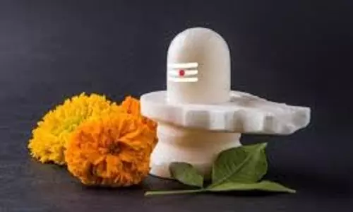 Shiva Puja:   शिवलिंग पर भूलकर भी न चढ़ाएं ये 6 चीजें, वरना भोलेनाथ हो जाएंगे नाखुश