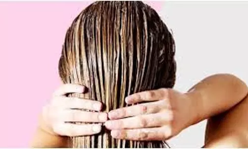 Hair Care: अगर गर्मियों में आपके बाल भी दिखने लगे हैं झाड़ू जैसे, तो लगाएं ये नेचुरल हेयर मास्क