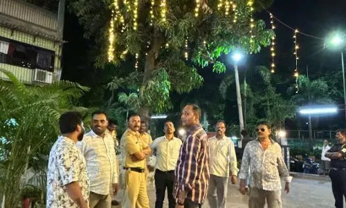 NMMC ने पेड़ों को इलेक्ट्रिक लाइट से सजाने के लिए बेलापुर रेस्तरां पर ₹10,000 का जुर्माना लगाया