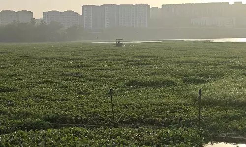 MPCB और NGO 22 अप्रैल को पवई झील की सफाई और संरक्षण अभियान का नेतृत्व करेंगे