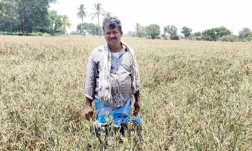 हगरीबोम्मानहल्ली: कच्चा बाजरा, कर्ज की चिंता